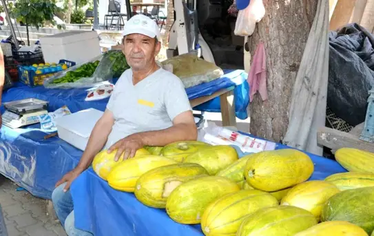 Altınbaş Kavunu Hasadı Başladı
