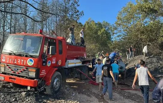 Sakarya'da Orman Yangınları