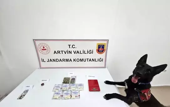 Artvin'de Uyuşturucu Operasyonu: İki Tutuklama