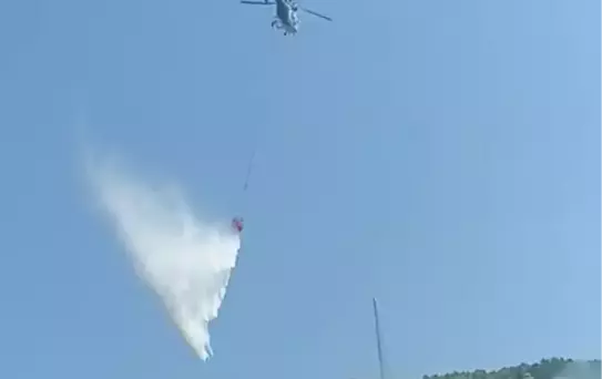 Kozcağız'da Orman Yangını Kontrol Altına Alındı