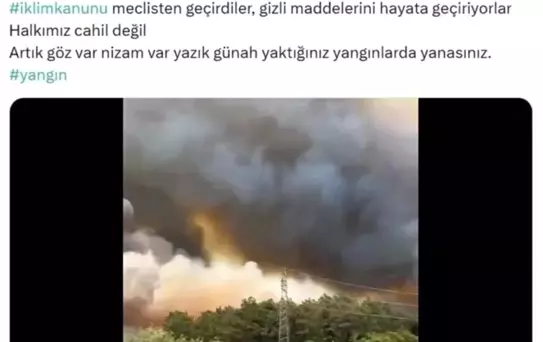 Geyve Belediyesi Meclis Üyesi Yangın İddiaları Sebebiyle Gözaltına Alındı