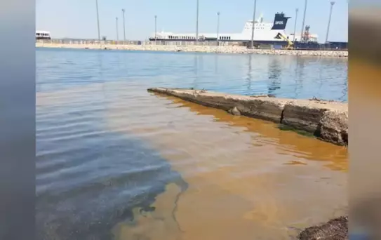 Yalova'da denizdeki kirliliğe jet inceleme! Numuneler TÜBİTAK'a gönderildi.