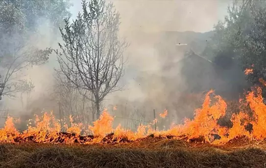 Bolu'da Anız Yangını Kontrol Altına Alındı
