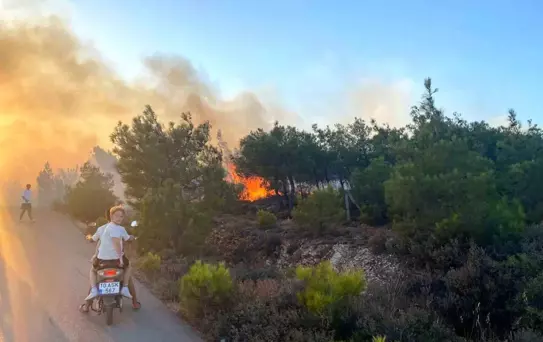 Cunda Adası'nda Orman Yangını Kontrol Altına Alındı
