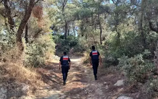 Aydın'da Orman Yangınlarına Karşı Denetim Artırıldı
