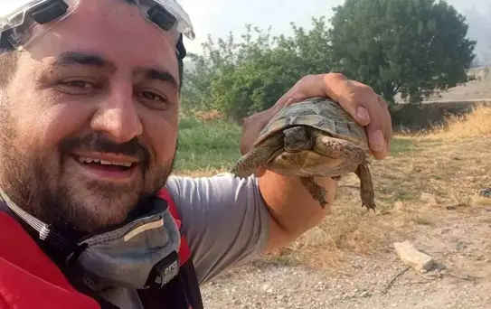 Bilecik'teki Orman Yangını Kontrol Altında, Hayvanlara Su Verenler Gündem Oldu
