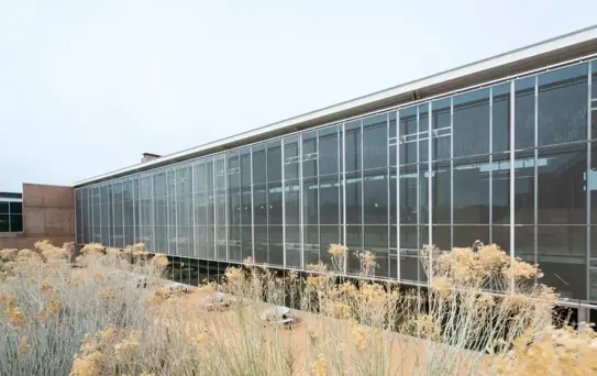 New Mexico Üniversitesi'nde Silahlı Saldırı: 1 Ölü, 1 Yaralı