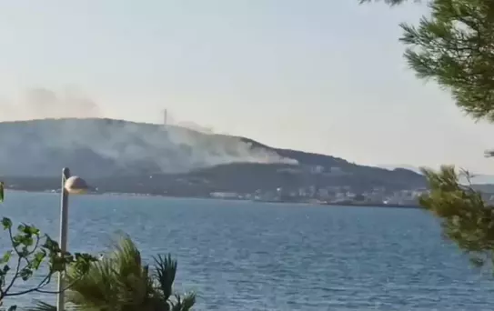 Cunda Adası'nda Orman Yangını Kontrol Altında