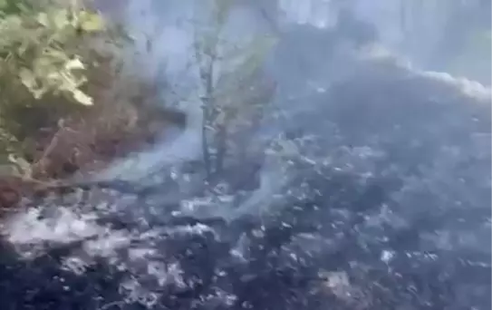 Datça'da Yangın Kontrol Altına Alındı