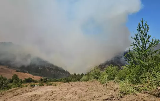 Karabük'te Orman Yangını: Bir Köy Boşaltıldı