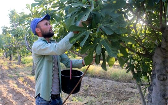 Zor ama parası bol! Aylık 90 bin TL maaşla işçi aranıyor