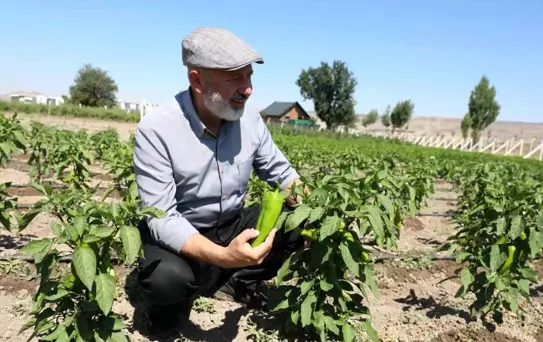Kocasinan Belediyesi'nden Yerel Tohumları Koruma Projesi
