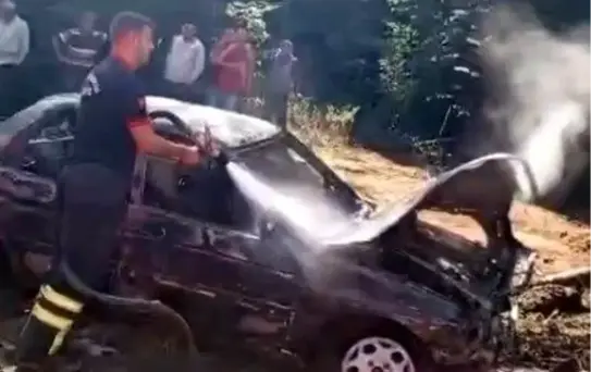 Çatalzeytin'de Otomobil Yangını Ormanlık Alanı Tehdit Etti