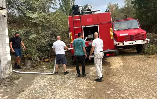 Kosova'da Orman Yangınına Mehmetçikten Destek