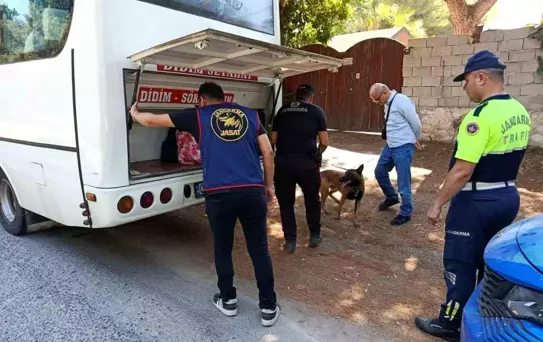 Didim'de Jandarma Operasyonu: 17 Aranan Yakalandı