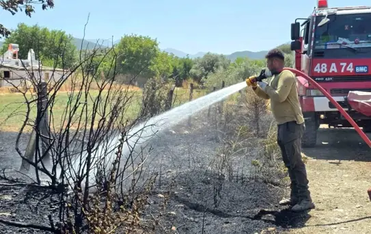 Muğla'da Zirai Yangın Kontrol Altına Alındı