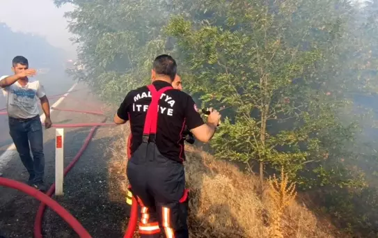 Malatya'daki Orman Yangınları Kontrol Altına Alındı