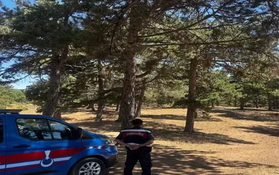 Sakarya'da Ormanlara Giriş ve Havai Fişek Yasağı