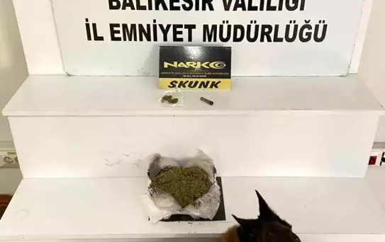 Balıkesir'de 485 Gram Esrar Ele Geçirildi