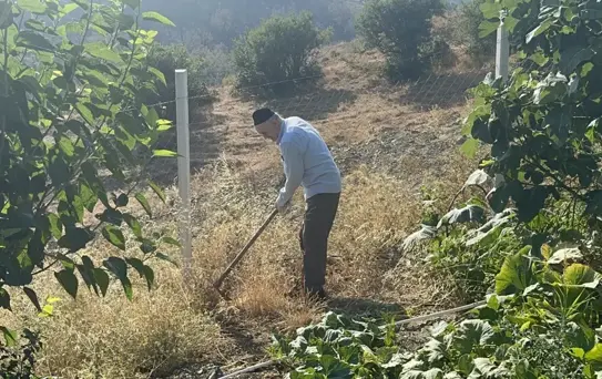 Bursa'daki Yangında Bağ Evi Kurtarıldı