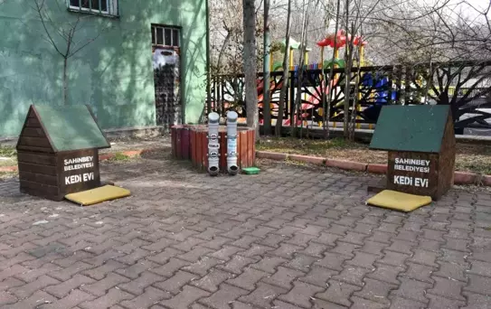 Başkan Tahmazoğlu'ndan Sokak Hayvanlarına Su Çağrısı
