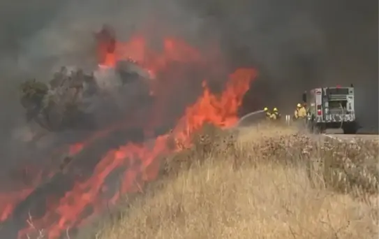 California'da Orman Yangını: 12 Bin Hektar Yandı