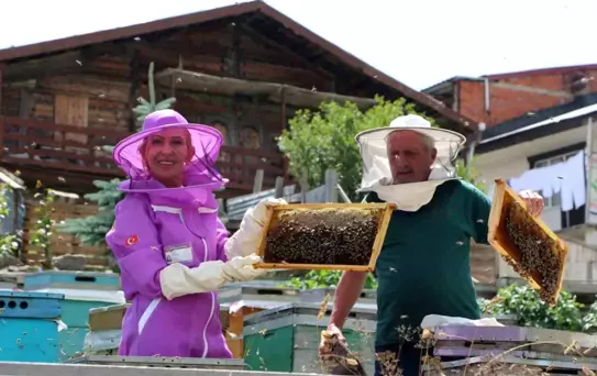 Anzer Balında Hasat Dönemi Başladı
