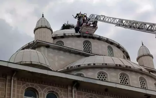 Bursa'da Mahsur Kalan Leylek Kurtarıldı