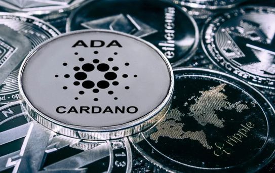 Cardano (ADA) topluluğundan tarihi karar