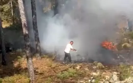 Bursa'da Orman Yangınına Vatandaş Müdahalesi