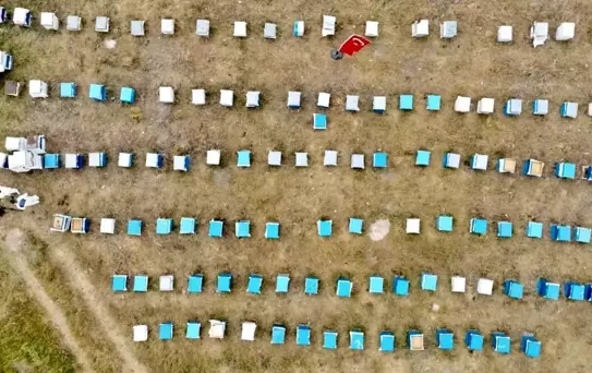 Ağrı'da Kadınlardan Bal Üretimine Destek