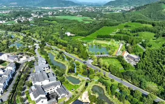 Hangzhou'daki Jingshan Köyü: Ekolojik ve Ekonomik Dönüşüm