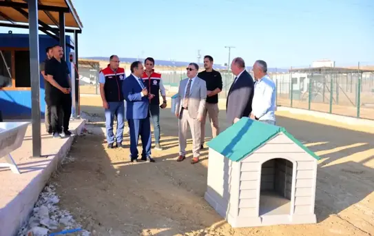 Bayburt'ta Hayvan Barınağı İncelemesi