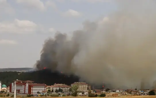 Edirne'deki Yangın 2 Saatte Kontrol Altına Alındı