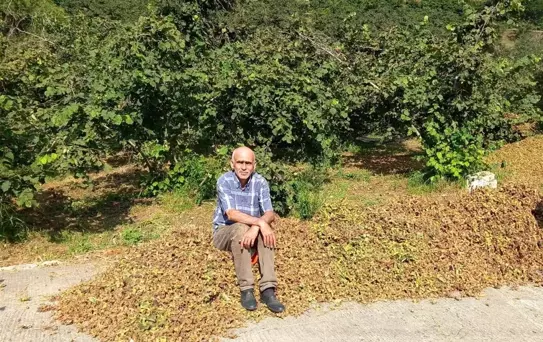 Fındık Fiyatları Yükselecek