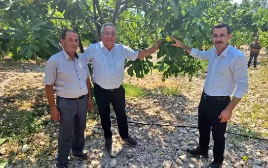Kaymakam Polat İncir Üreticileriyle Bir Araya Geldi