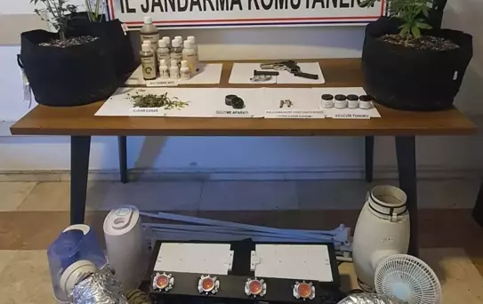 Uyuşturucu Yetiştiriciliğine Jandarma Operasyonu