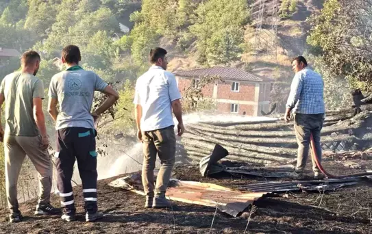 Kastamonu'da İkinci Orman Yangını Kontrol Altında