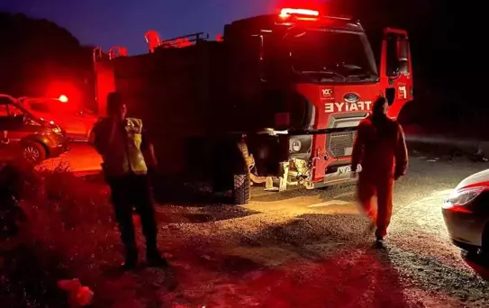 Cide'de Orman Yasağını İhlal Edenlere Cezalar