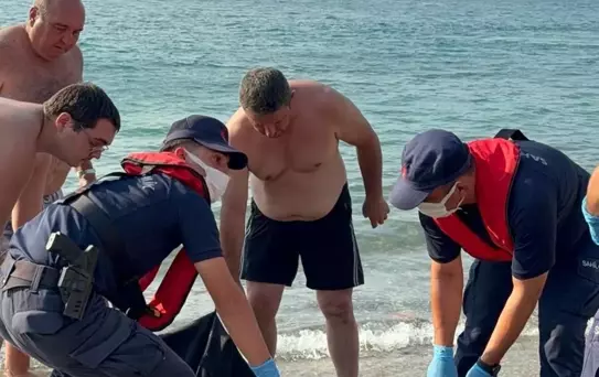 Yaralı Caretta Caretta Kurtarıldı