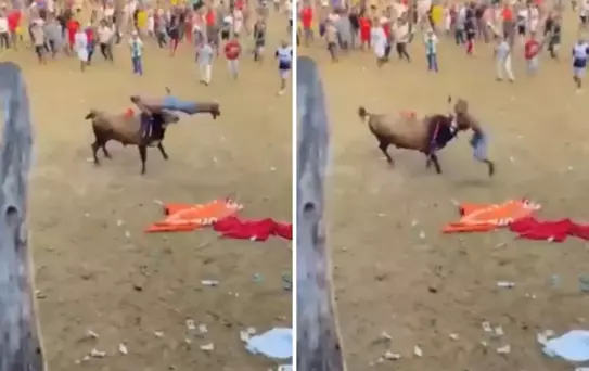 Boğa güreşi festivalinde matador aldığı boynuz darbesi ile feci şekilde can verdi