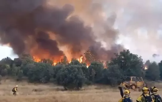 İspanya'da Orman Yangını: 1 Ölü
