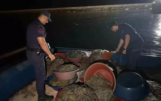 Zonguldak'ta Yasa Dışı Kalkan Avına Operasyon