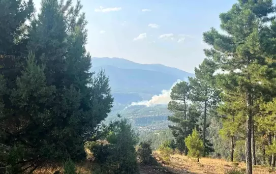 Denizli'de Orman Yangını