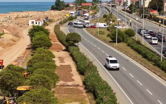 Fındık Hasadı: Karadeniz Yolu Kuru Fındık Harmanı