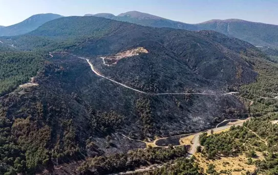 Manisa'da Orman Yangını Kontrol Altına Alındı, Soğutma Çalışmaları Devam Ediyor