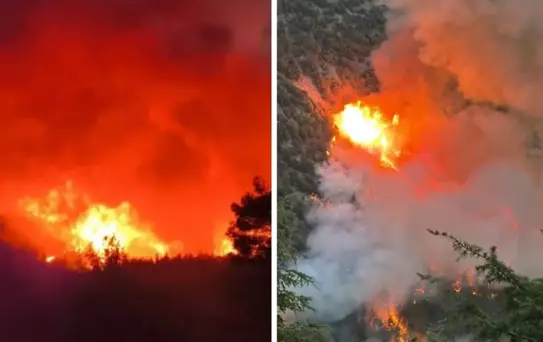 Türkiye'nin ciğerleri yanıyor! Hatay'da orman yangını