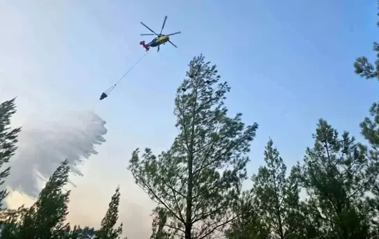 Denizli'de Orman Yangını Kontrol Altına Alındı