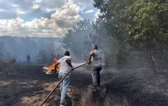 İğneada'da Orman Yangını Kontrol Altına Alındı