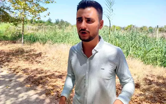 Domuzları Köpek Gibi Kovaladı
